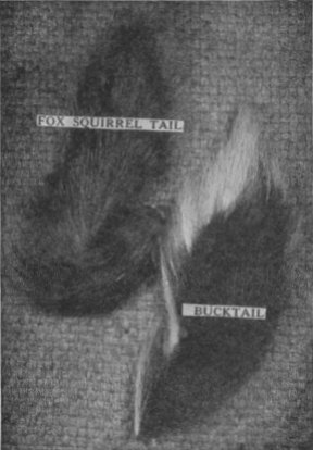 Page sized photograph of bucktails.