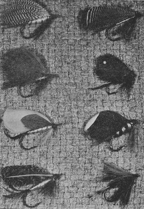 Page sized photograph of flies tied by the author.