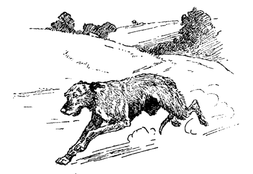 wolfhound fleeing through downland