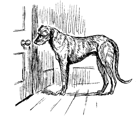 wolfhound looking at closed door