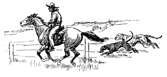dogs following man on horseback