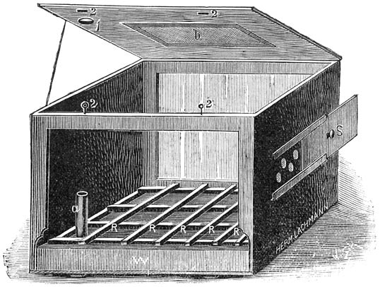 Fig. 269. Uit een kist vervaardigd terrarium.