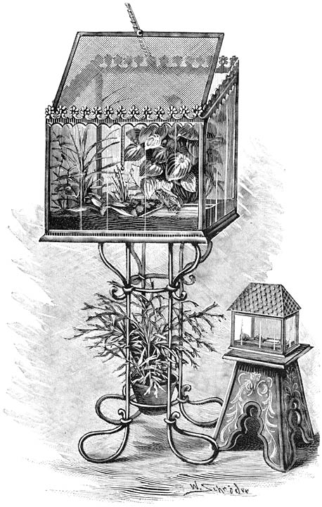 Fig. 270. Terrariums.