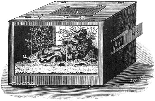 Fig. 271. Uit een kist vervaardigd terrarium, geheel gereed.