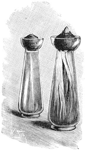 Fig. 280. Links glas met pas opgezetten Hyacinten-bol, rechts een glas met bol, vier weken na het opzetten.