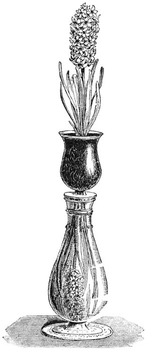 Fig. 283. Dubbel Hyacinten-glas.