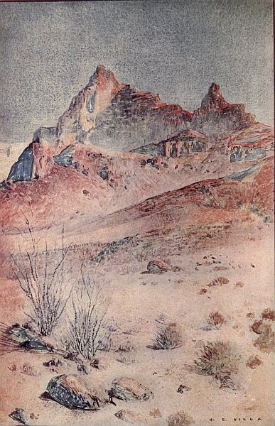 Colorado Desert (Ocatilla in foreground)