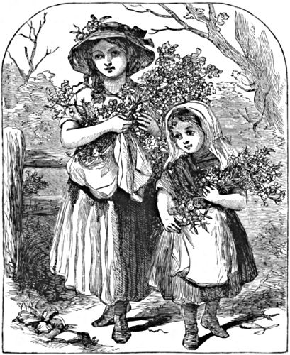 Two girls, their arms full of flowers and foliage
