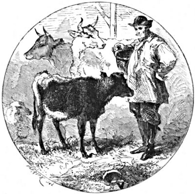 The farmer and the calf