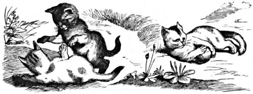 Three kittens, two wrestling and one clasping a ball in its front paws