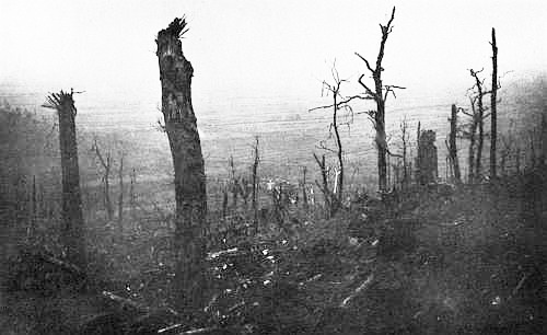 A valley in Argonne showing a forest destroyed by shells.
