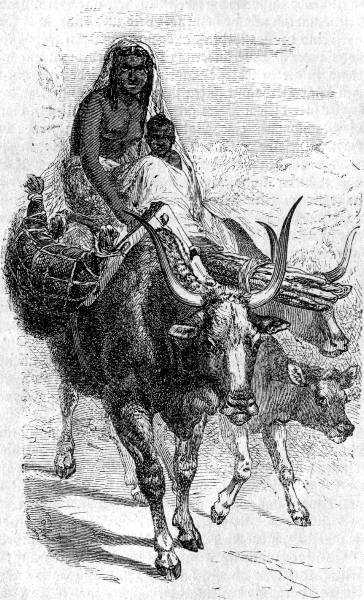 Hirtenfrau auf der Wanderung. Zeichnung von R. Kretschmer.