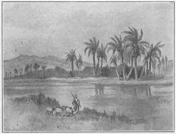 A shepherd at a river