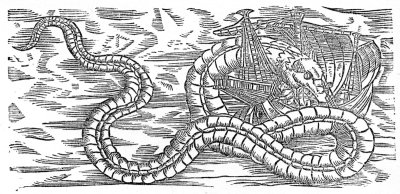 the great sea serpent, according to topsell, 1608.