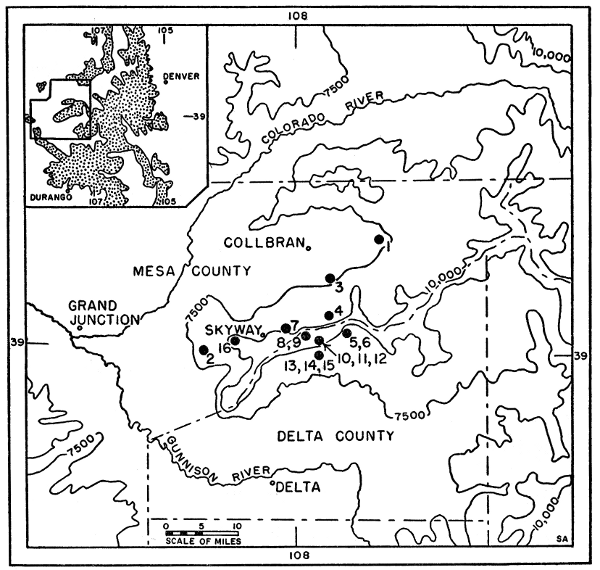 Fig. 1. Map of the Grand Mesa (for purposes of this paper the area above
7500 feet on each side of the northern boundary of Delta County). The inset
of the western three-fourths of Colorado shows the Grand Mesa in relation to
the larger areas of mountains in the state (areas above 9000 feet are stippled).
The following collecting localities are indicated by numbered, black dots:


(1) 2 mi. N, 9 mi. E Collbran, 7000 ft., Mesa County.
(2) Land's End Road to Grand Mesa, 6800 to 8050 ft., Mesa County.
(3) 3 mi. E, 4 mi. S Collbran, 6800 ft., Mesa County.
(4) 3 mi. E, 9 mi. S Collbran, 10,200 ft., Mesa County.
(5) 5-1/2 mi. E, 11-1/2 mi. S Collbran, in Delta County.
(6) 5-1/2 mi. E, 12 mi. S Collbran, 9600 to 10,400 ft., in Delta County.
(7) 28 mi. E Grand Junction (Sec. 29, T. 11S, R. 95W), Mesa County.
(8) 6 mi. E Skyway, 10,000 to 10,500 ft., in Delta County.
(9) 7 mi. E Skyway, in Delta County.
(10) 8 mi. E, 1/2 mi. S Skyway, 9500 to 10,200 ft., in Delta County.
(11) 8 mi. E, 3/4 mi. S Skyway, 10,200 ft., in Delta County.
(12) 8 mi. E, 1 mi. S Skyway, 10,000 to 10,200 ft., in Delta County.
(13) 8 mi. E, 1-1/2 mi. S Skyway, 8500 to 9600 ft., in Delta County.
(14) 8 mi. E, 2 mi. S Skyway, 9000 ft., in Delta County.
(15) 8 mi. E, 2-1/2 mi. S Skyway, 9600 ft., in Delta County.
(16) 1 mi. S, 4 mi. W Skyway, 10,200 ft., Mesa County.

