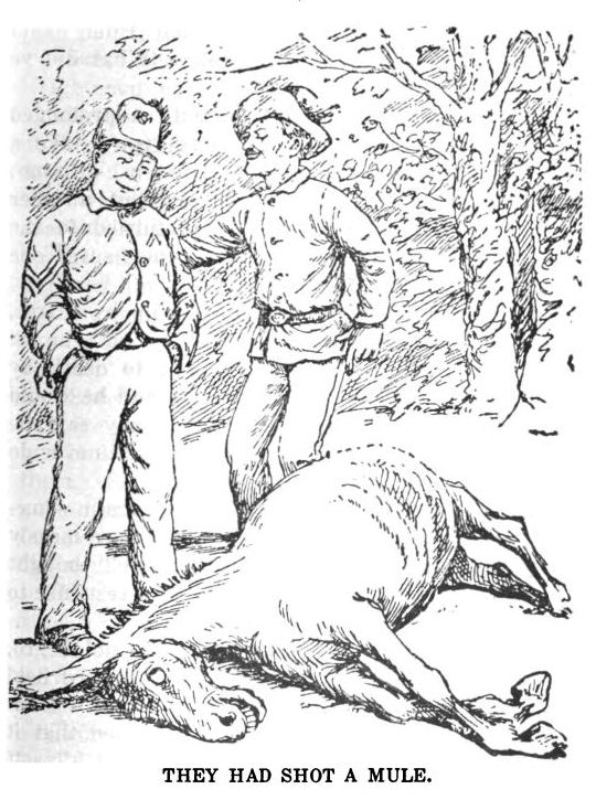 They Had Shot a Mule 163