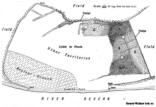 Plan of the
water meadow showing the territories occupied by Lapwings in the year
1915.