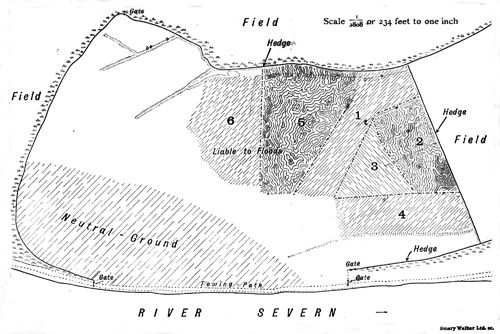 Plan of the
water meadow showing the territories occupied by Lapwings in the year
1915.