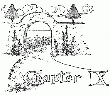 Chapter IX