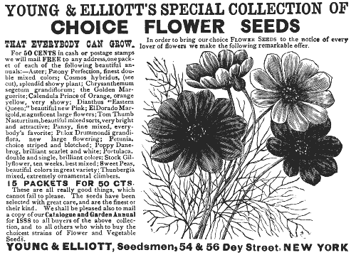 Advertisement - YOUNG AND ELLIOTT'S COLLECTION OF CHOICE FLOWER SEEDS