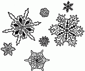 Snow-flakes Magnified.