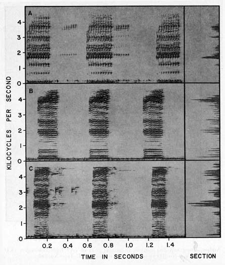 Audiospectrograms and sections of mating calls