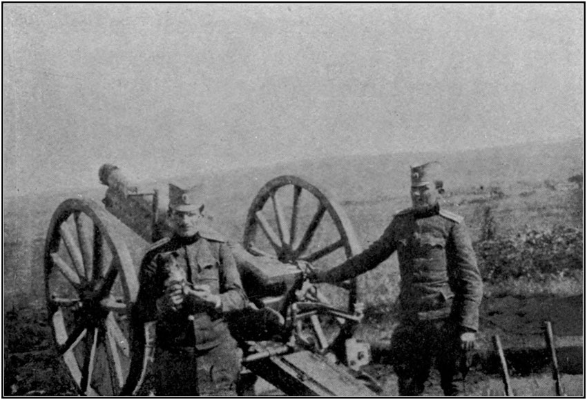Gun captured from the Turks in the last war.