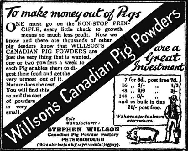Advertisement for Willson's Canadian Pig Powders.