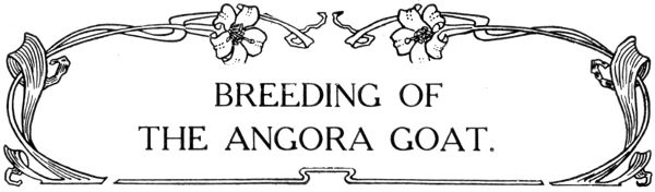 BREEDING OF THE ANGORA GOAT