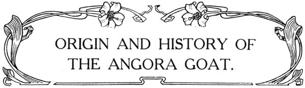 ORIGIN AND HISTORY OF THE ANGORA GOAT