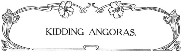 KIDDING ANGORAS