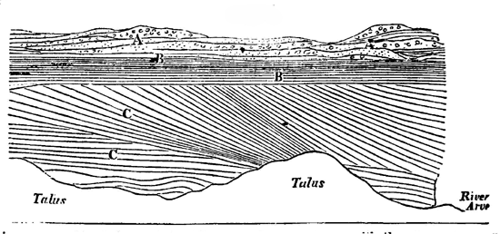 Section of a sand-bank.