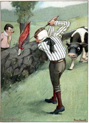 Baron swings a golf club at a cow
