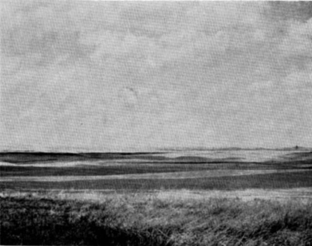 Fig. 8. Farm land in northeastern part of Harding
County.