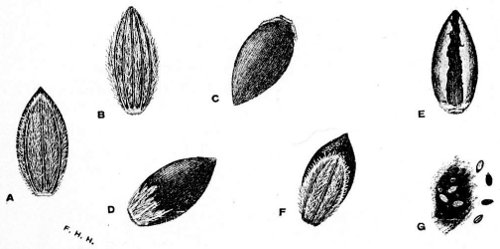 Fig 11.