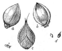 Fig 13.
