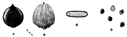 Fig 36.