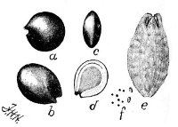 Fig 54.