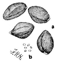 Fig 85.