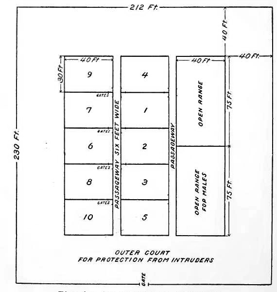 Plan for Arrangement of Fox Yards.