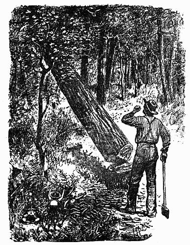 Fig. 1.—The Forest Monarch's Fall. The Brownie's Grief and
Anger Thereat.