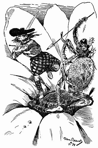 Fig. 76.—"A Duel on a Daisy." Junior and Turncoat Tom.