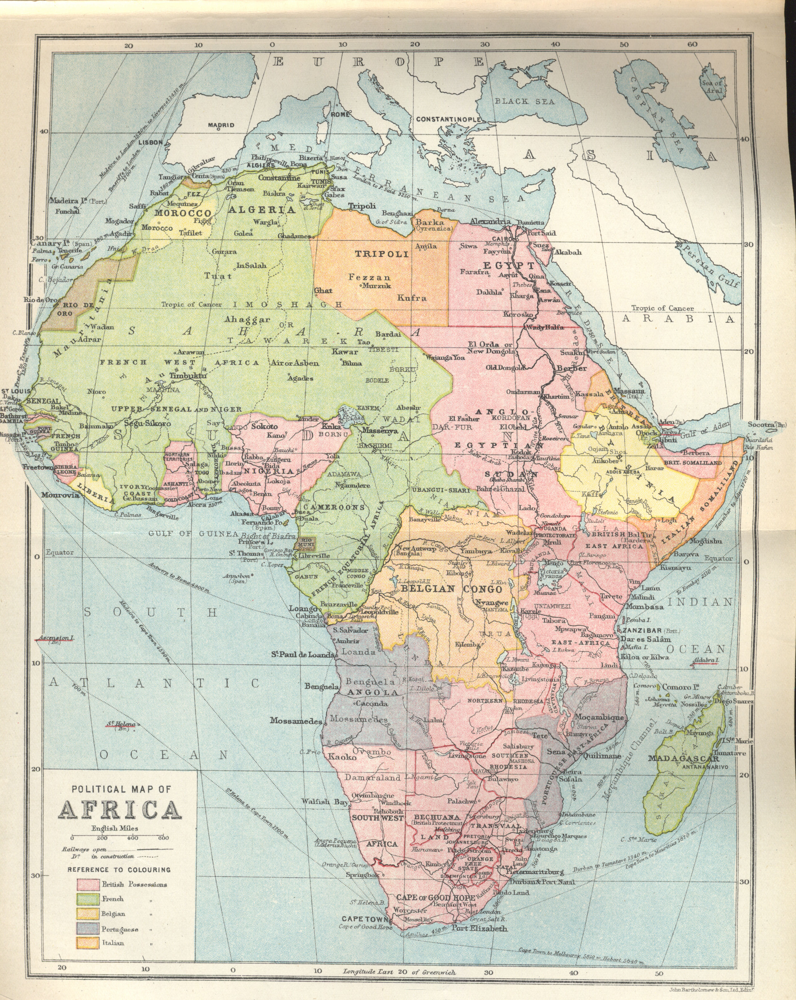 The Contributions of Albertus Magnus and the Development of Zoology during the Thirteenth through the Fifteenth Centuries: An entry from Gale's Science and Its Times Leslie A. Mertz