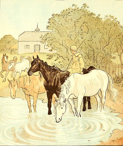 Boy on horse