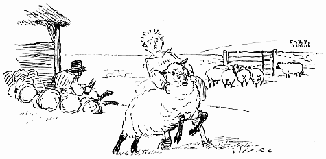 Wrestling with a sheep