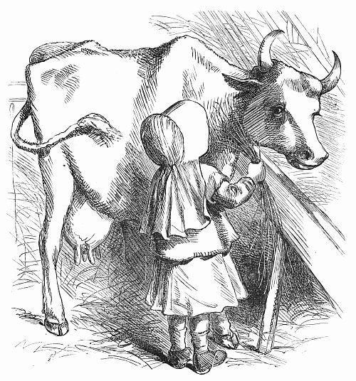 A little girl holds up a wisp of hay to Moolly Cow.