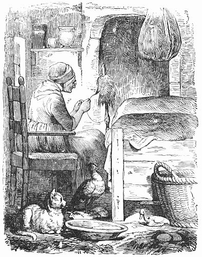 The  Old Woman, the Cat, the Hen and the Duckling in the hut.