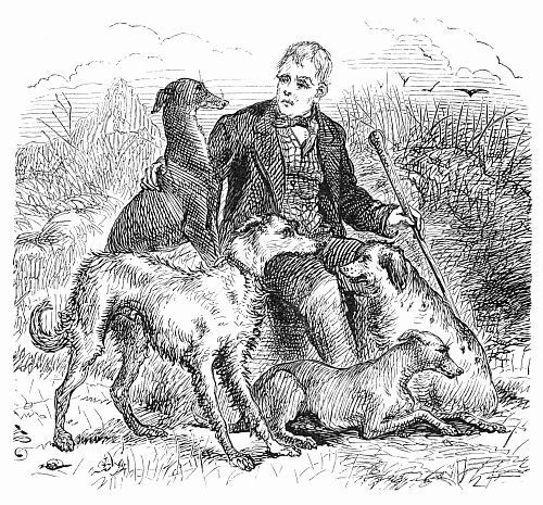 Man sitting on a rock, surrounded by dogs.