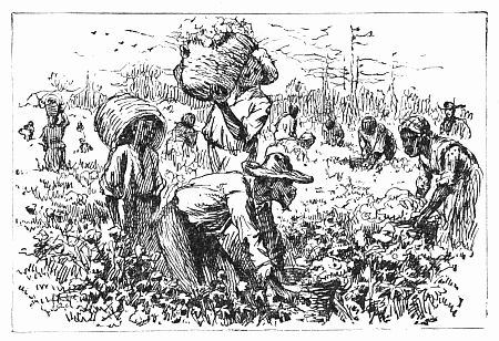 Workers in a field.