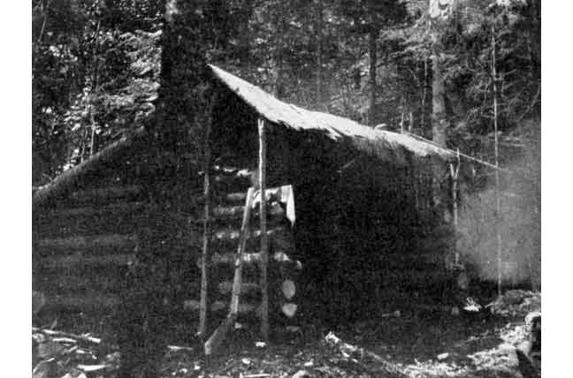 The Cedar Lake Camp